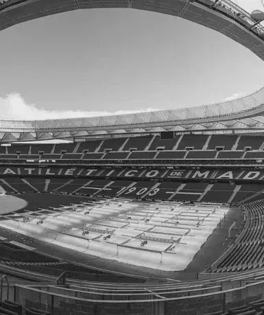 metropolitano